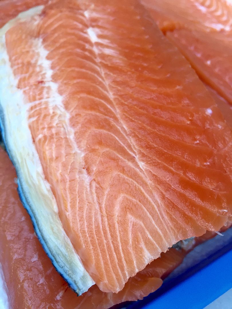 Salmon fillet technique video, highest yield IFish Fishing Forum